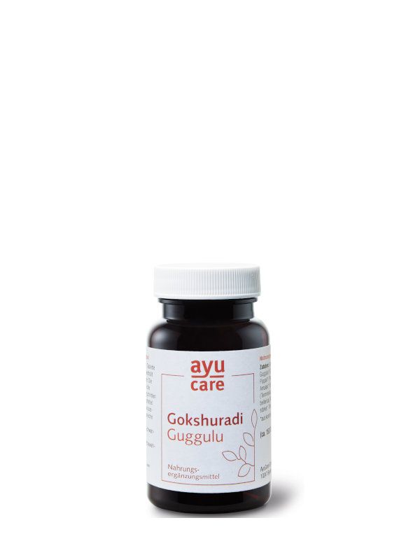 Gokshuradi Guggulu (Tabletten)