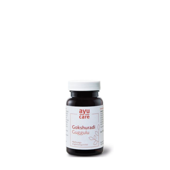 Gokshuradi Guggulu (Tabletten) main product photo