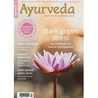 Heft 79 - Stark gegen Stress
