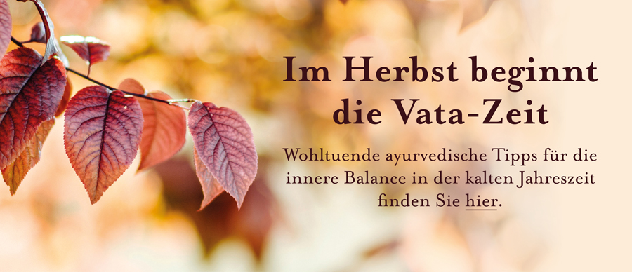 Im Herbst beginnt die Vata-Zeit