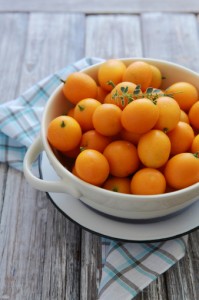 Kumquats in Schale