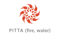 Pitta icon